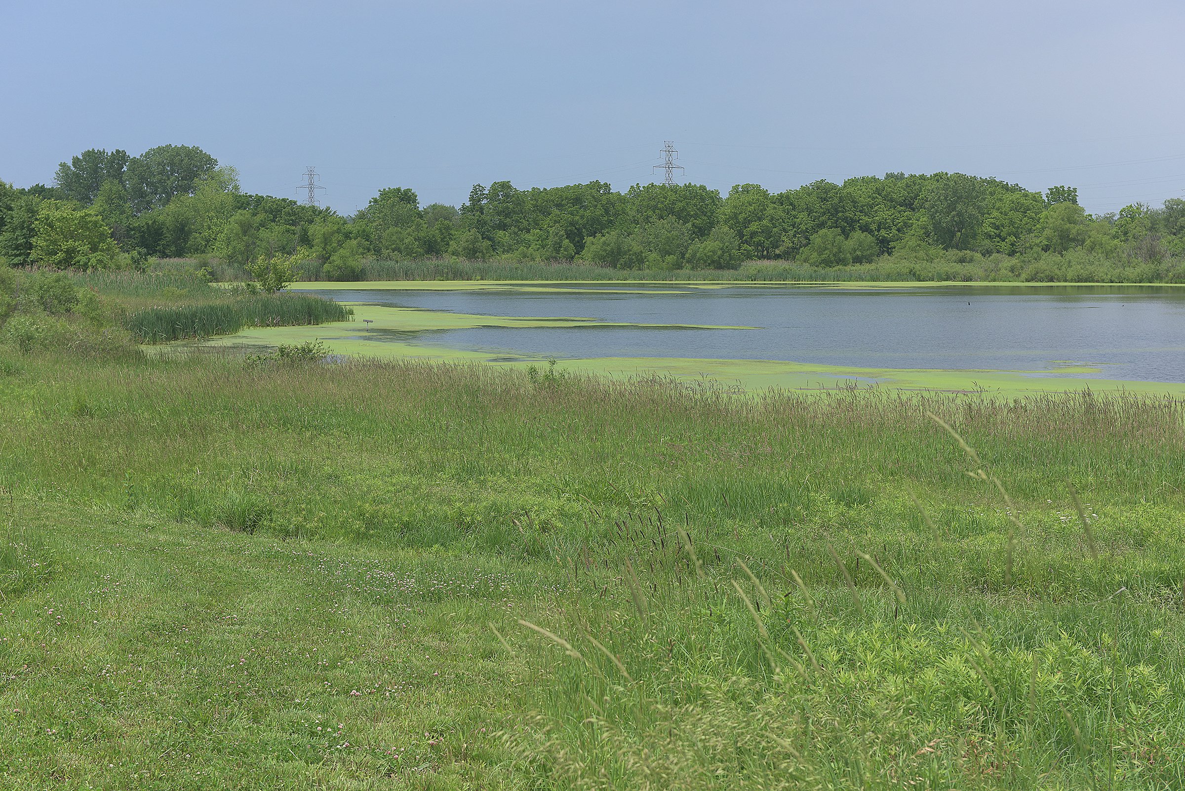 Pond on a farm in Lake County, Indiana - LAND AUCTION - 147+/- ACRES OFFERED IN 3 TRACTS IN LAKE COUNTY, INDIANA